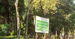 Lote Plano 441m² | Potencial Construtivo | Região Castelo