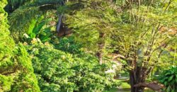 Casa de Campo de Alto Padrão no Residencial Califórnia | 8.000 m² de Natureza, Lazer e Privacidade | Betim/MG