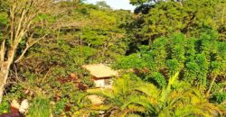 Casa de Campo de Alto Padrão no Residencial Califórnia | 8.000 m² de Natureza, Lazer e Privacidade | Betim/MG