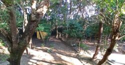Casa de Campo de Alto Padrão no Residencial Califórnia | 8.000 m² de Natureza, Lazer e Privacidade | Betim/MG