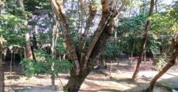 Casa de Campo de Alto Padrão no Residencial Califórnia | 8.000 m² de Natureza, Lazer e Privacidade | Betim/MG