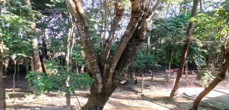 Casa de Campo de Alto Padrão no Residencial Califórnia | 8.000 m² de Natureza, Lazer e Privacidade | Betim/MG