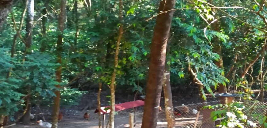 Casa de Campo de Alto Padrão no Residencial Califórnia | 8.000 m² de Natureza, Lazer e Privacidade | Betim/MG