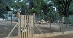 Casa em Condomínio Fechado, Linear, 2.500 m² de Terreno Plano em Contagem